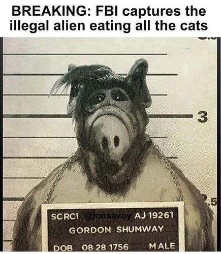 20240911_194835
