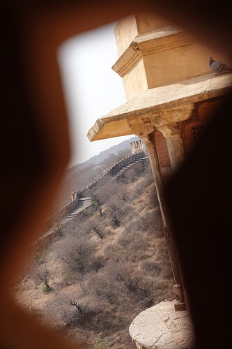 4D8DE1F1-82E7-43C9-8ED1-60487CD53170_1_105_c