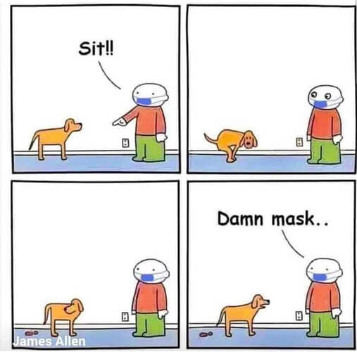 Sit !!