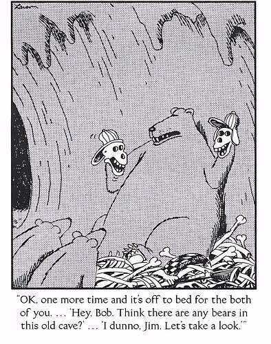 Bears in this cave