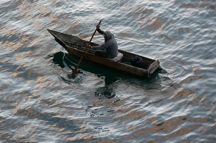 CDM 8