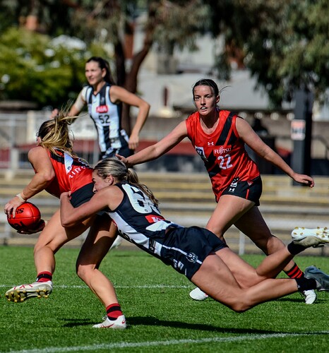 440980397_245634178592442_6562914343822927649_n