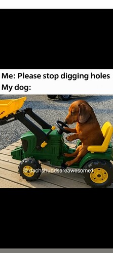 1000017668