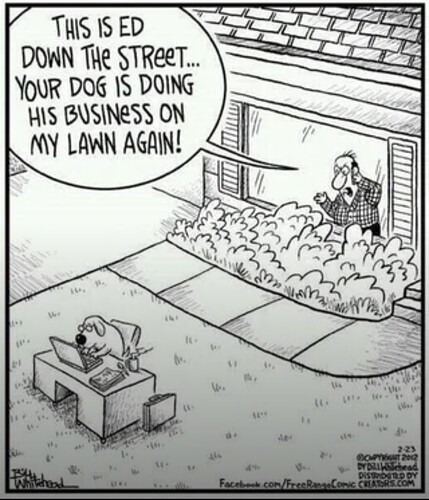 Screenshot_20240606_082422_Reddit