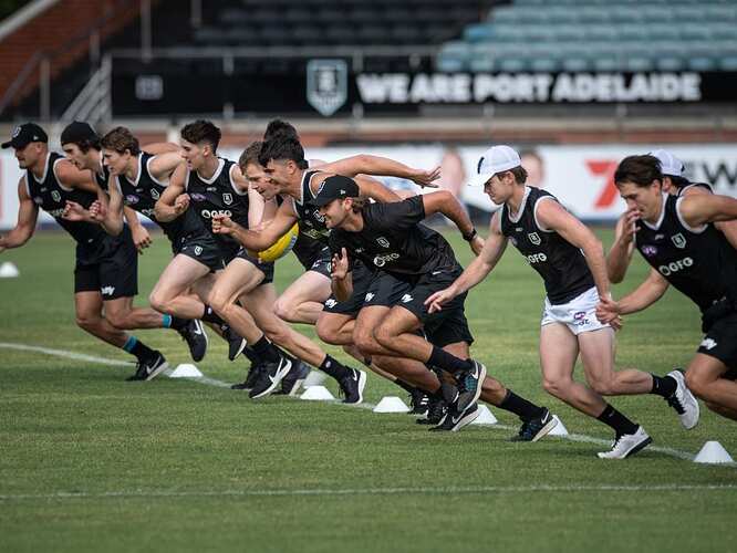 Port Adelaide’s first to fourth year players are put through their paces. Picture: Brad Fleet