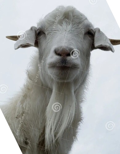 billy-goat-staring-camera-goatee-cloud-background-45614958