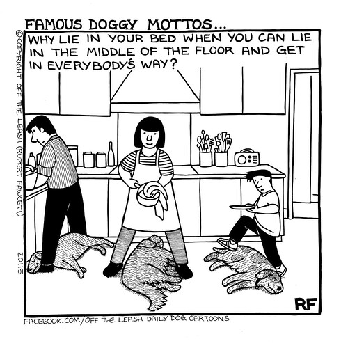 Famous doggy mottos