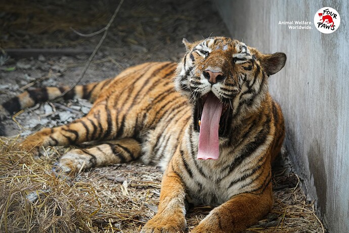 496128075_1091417759684777_7785213412366280114_n