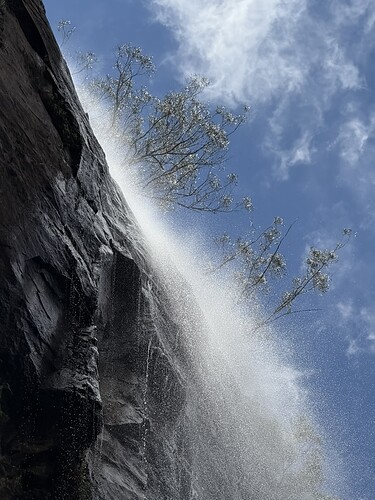 DA6B357A-5FB1-4E75-8CC7-5DFD17A3F664_1_105_c