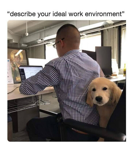 5d1f976a-95a0-4e58-8796-f335422fed5c