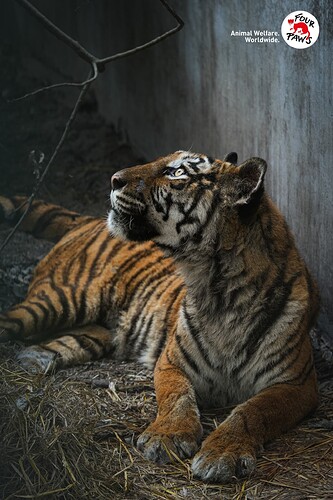 495372216_1091417709684782_6131299489466550720_n