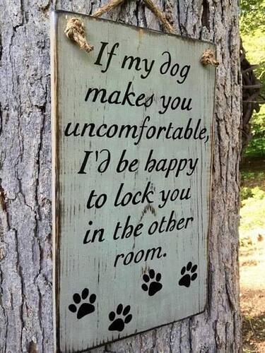 If my dog makes you uncomfortable
