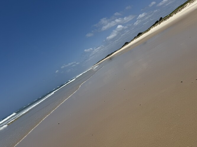 3BCBF99D-AA9E-4E4F-AB62-328F988BEF4C_1_105_c