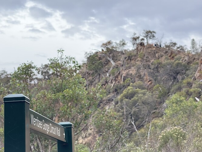 F7AFADCD-66D2-4231-84E7-42CE60BFE2F6_1_105_c