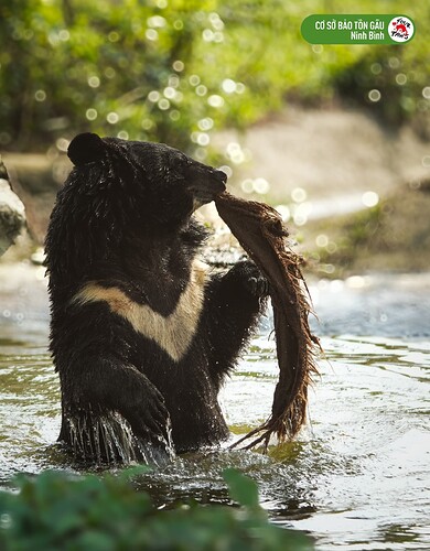 481662226_1041810204645533_7323735748555255190_n