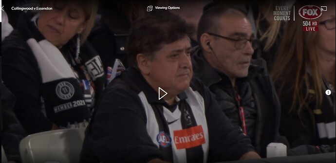 Pies fan