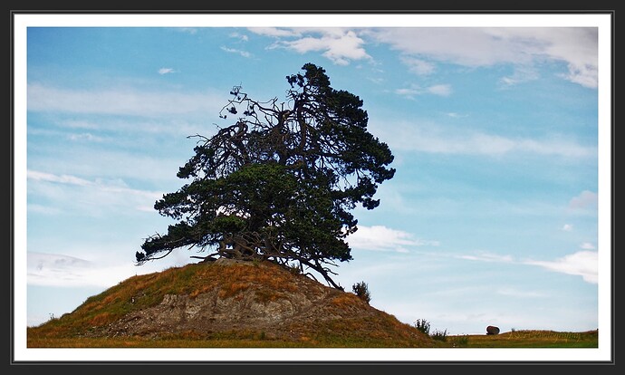 P1010306_jpgX-01