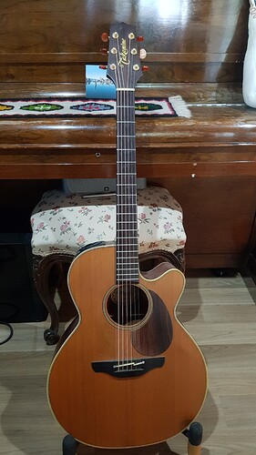 Takamine EN40C