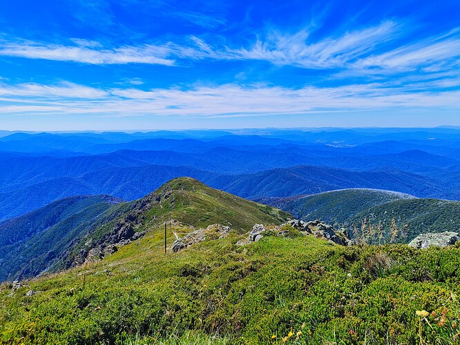 Mt Bogong