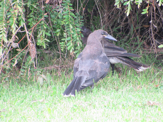 IMG_6885