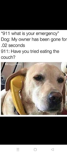 1000011686