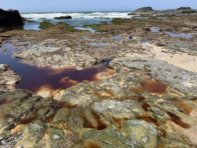 D5B34250-7D74-4811-9BCC-99BA11006751_1_105_c