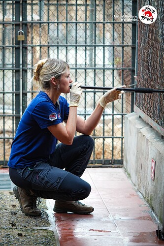 494892848_1091416966351523_2993573961575863872_n