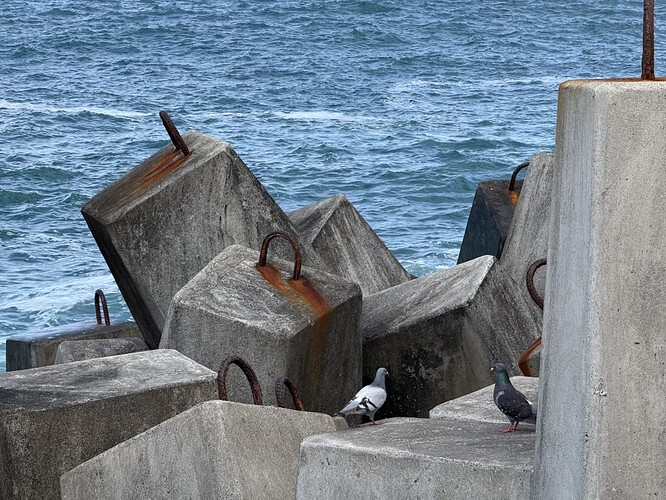 8412C292-4316-40D3-BA52-52BDE9B2BC84_1_105_c