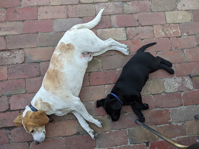 20210222_Aus&Jet(small)