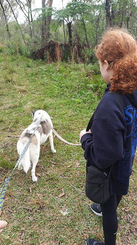 IMG-20260709-WA0002