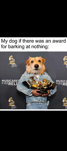 1000017323