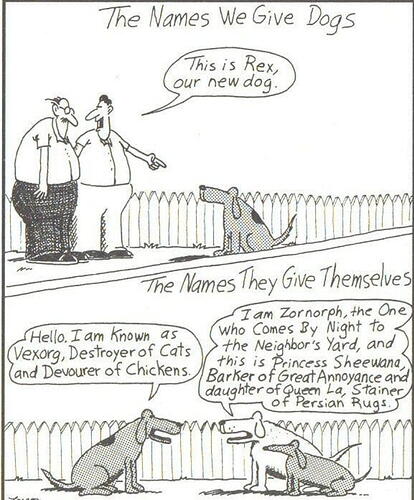 Dogs' Names