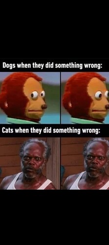 1000009657