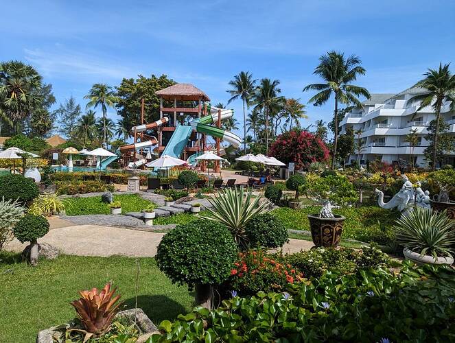 received_1002395801140996