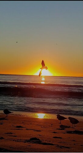 IMG_4180