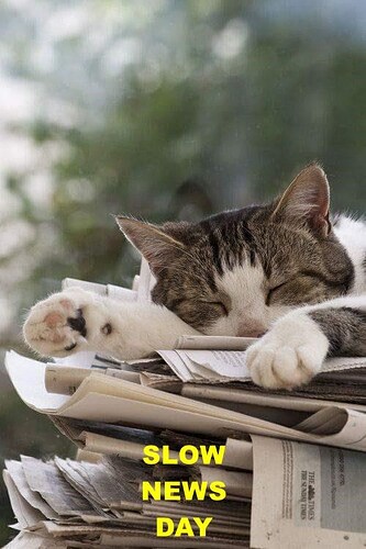 slow-news-day