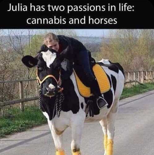 Julia has two passions in life…