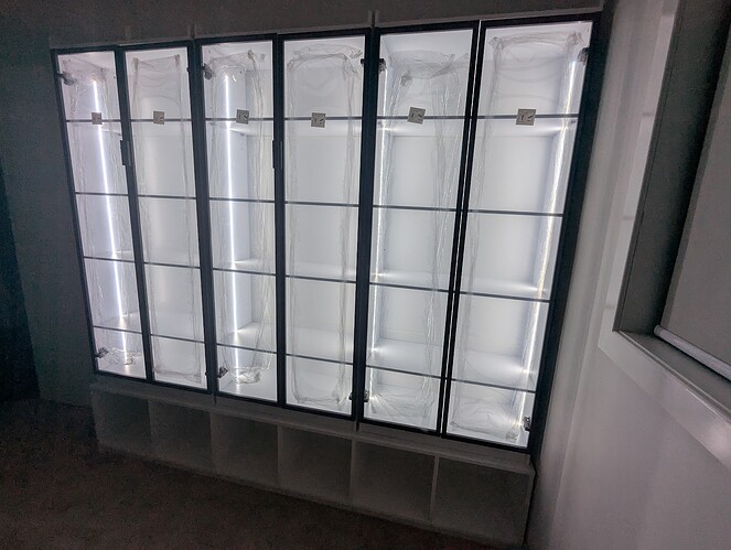 PXL_20250516_091329986.RAW-01.MP.COVER (1)