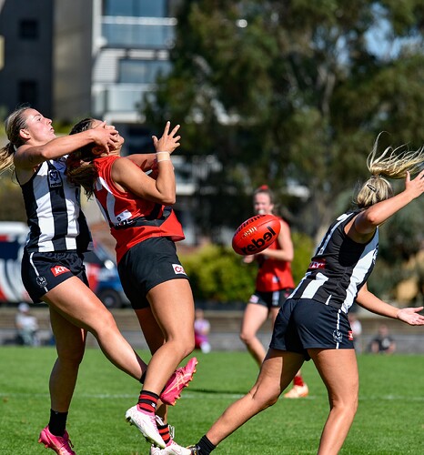 441013885_2238705626481747_6801581499583144025_n