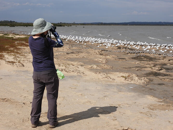 Jo at Stockyard Point 4-2-26 2