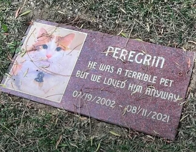 Screenshot_20250930_143939_Gallery