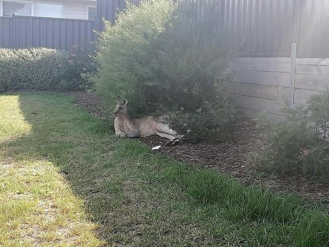 trashed-1747625806-IMG20250419133552