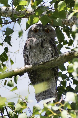 AE30D4C8-A143-4B90-A553-7B3373EAE76C_1_105_c