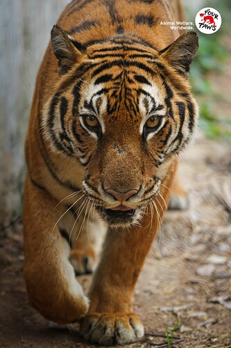 495391037_1091417573018129_2328140197091494932_n