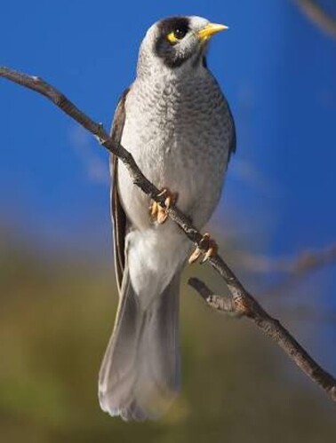 Screenshot_20200815-200444_Google