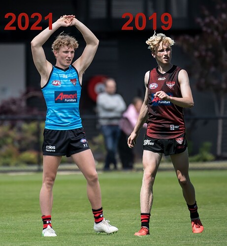 Hird 1