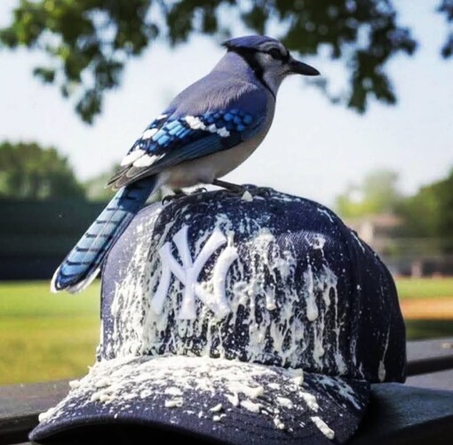 Screenshot_20251006_022725_Instagram