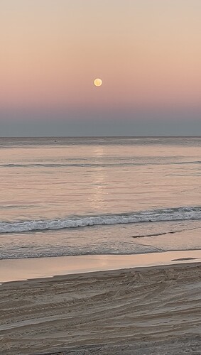 IMG_3493
