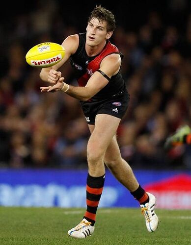 Sam-Michael-Essendon-467x600