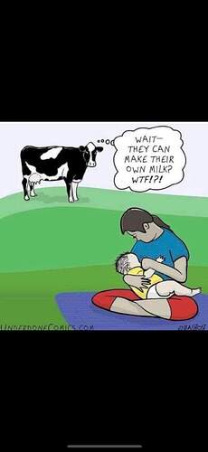 FB_IMG_1708244816420